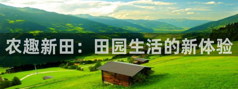 必一体育秀给网