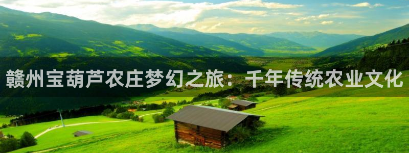 必一体育游戏特色