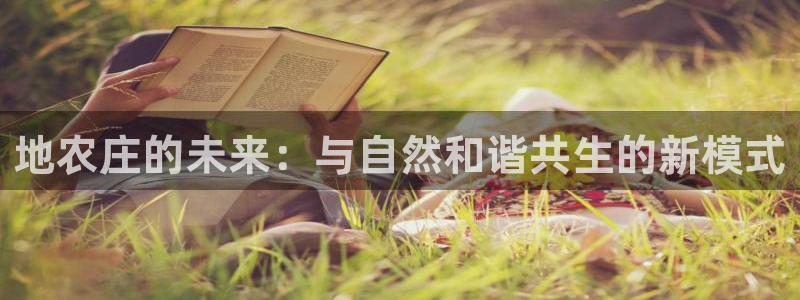 必一体育网页登录版官网