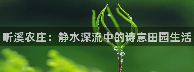 必一体育app平台下载