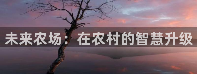 必一体育app下载装机吧