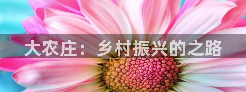 必一体育app官方