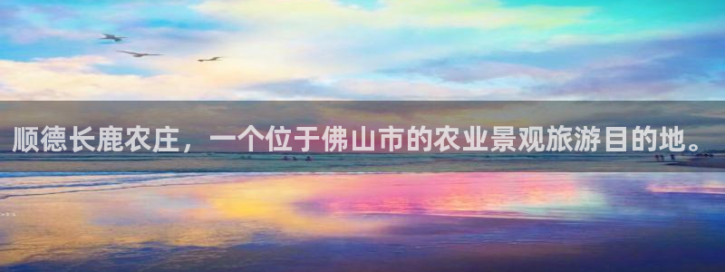 必一体育sport官网