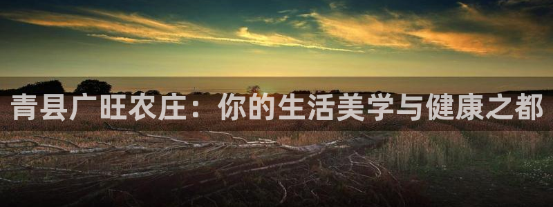 必一体育电子app