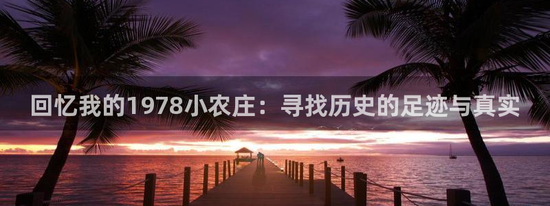 必一体育网页登录版官网