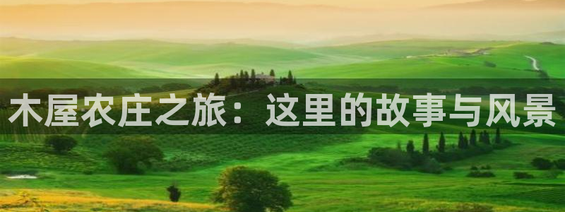 必一体育游戏特色