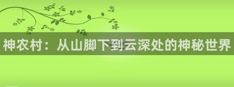 b体育官网下载入口app必一