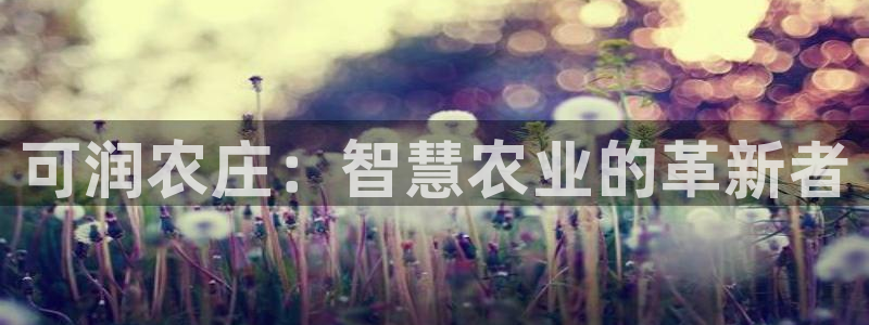 必一体育官方下载入口