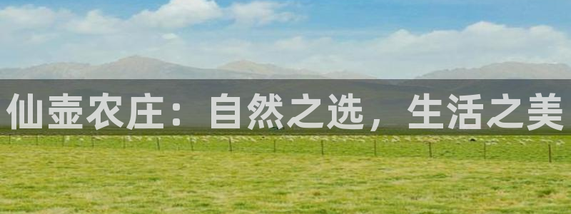 必一运动B-Sport官方网站入口