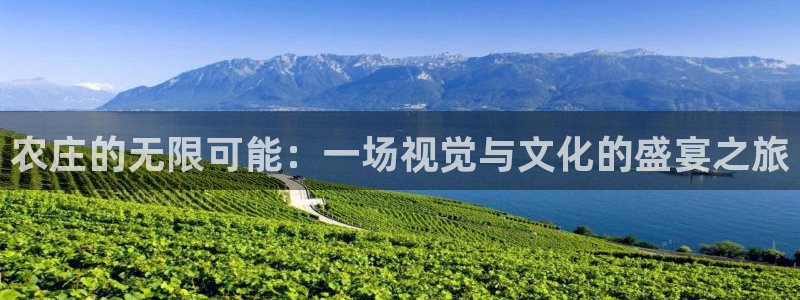 必一体育是哪里的台子