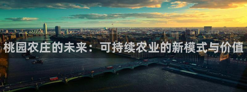 必一体育电子app