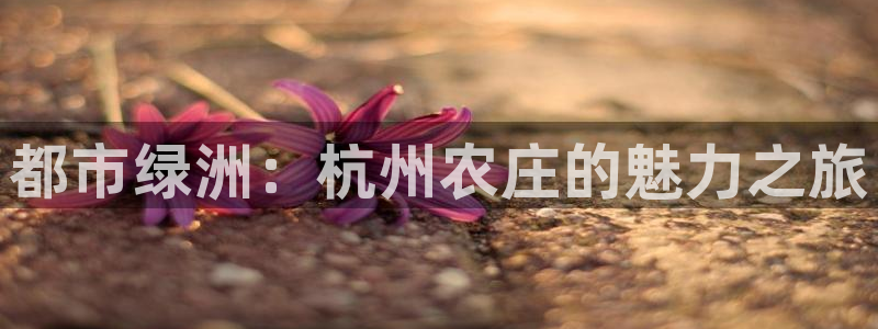 必一体育秀给网