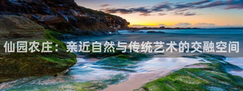 必一体育网页登录版官网