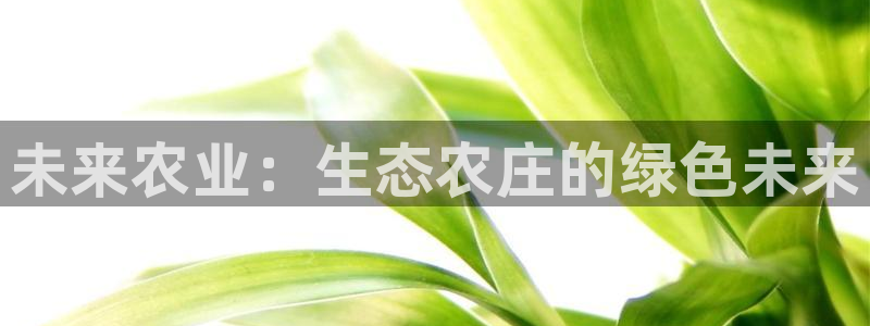 必一体育登录APP下载