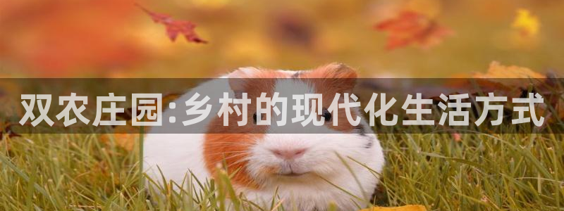 必一体育app下载最新版本苹果