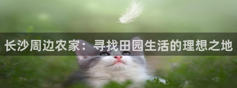 必一运动sport网页版