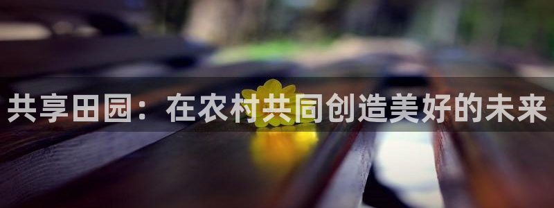 必一体育官网app