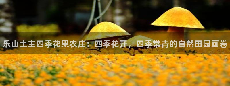 必一运动B-Sport官方网站入口