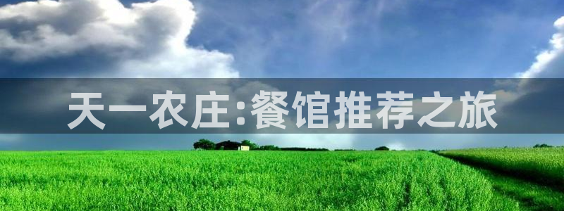 必一体育电子app