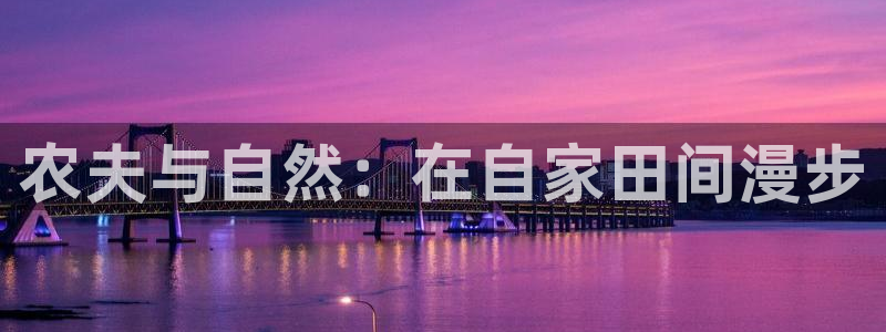 必一体育下载登入