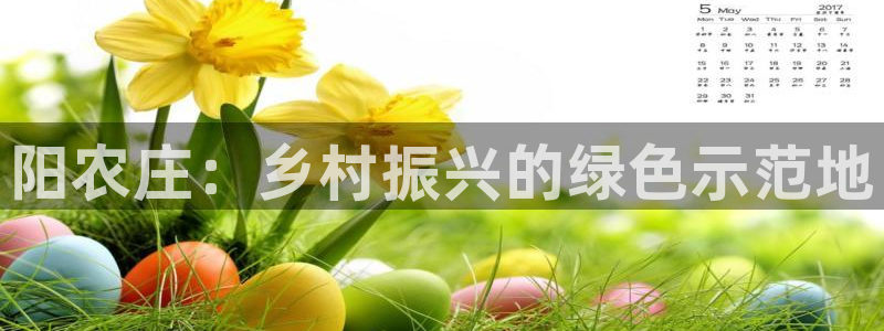 必一体育合法吗