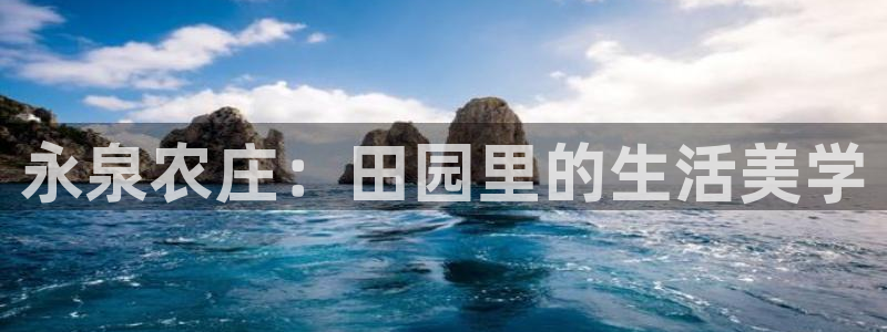 必一体育网页登陆