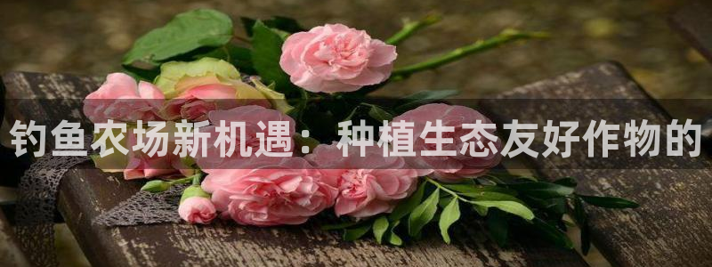 必一体育网页版登录