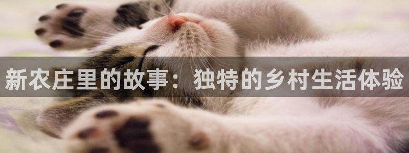 必一体育在线登录