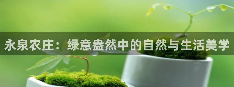 必一体育合法吗