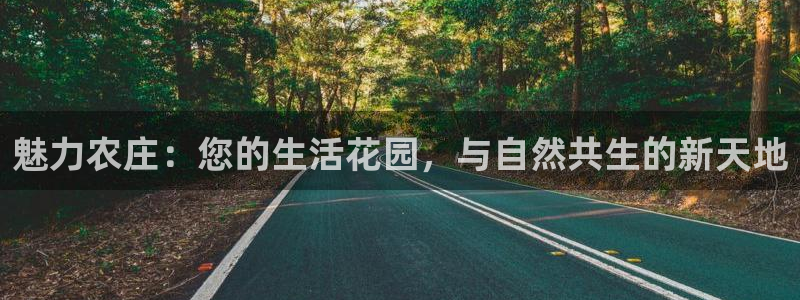 必一体育能提现大金额吗