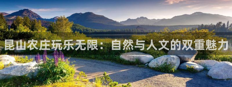 必一体育是哪里的台子