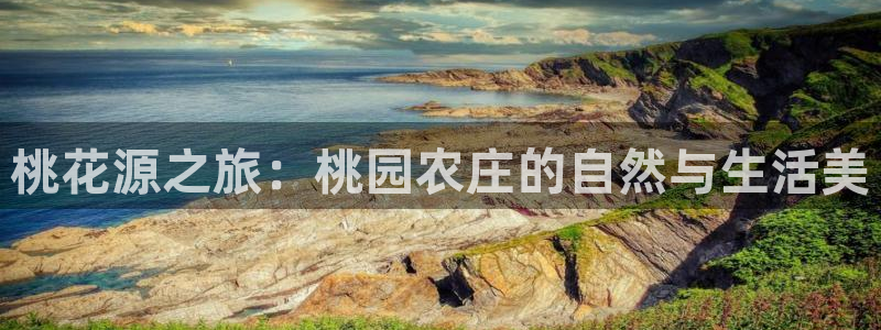 必一体育在线下载