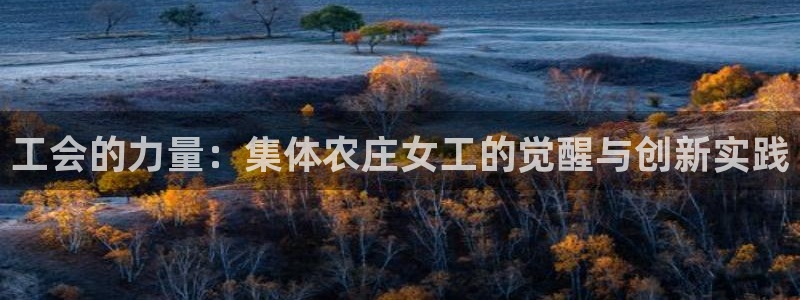 必一体育服下载最新版本更新内容