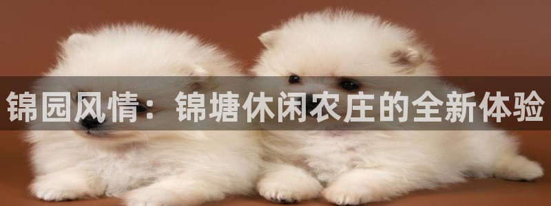 必一体育网页登陆