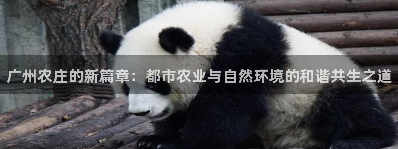 必一体育sport网页版