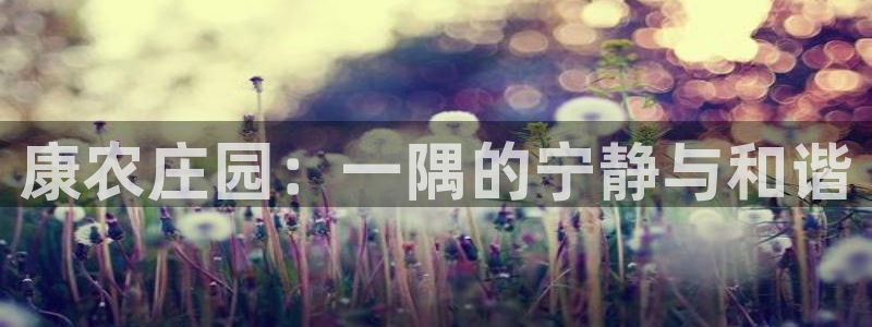 必一体育合法吗