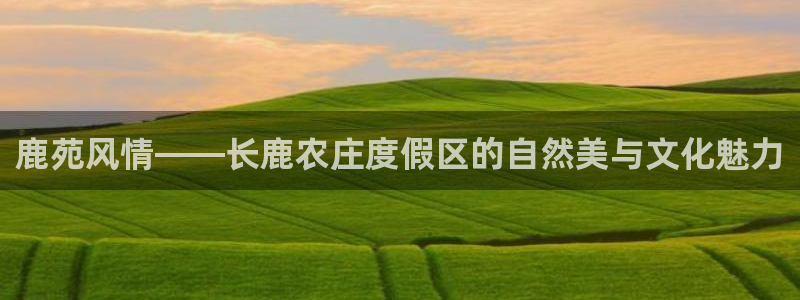 必一体育皮尔斯