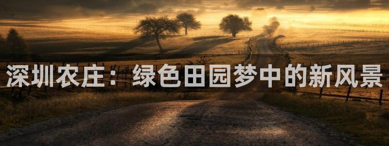 必一体育网页登陆