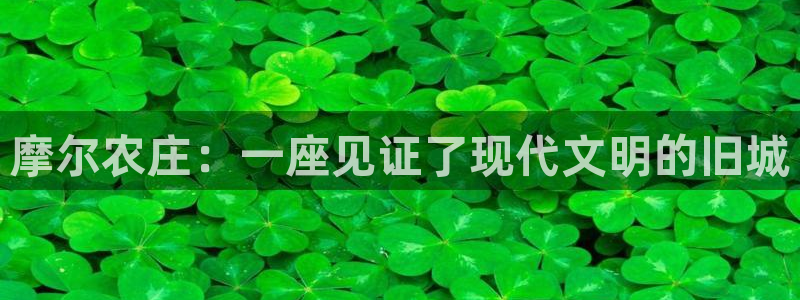 必一体育官网app