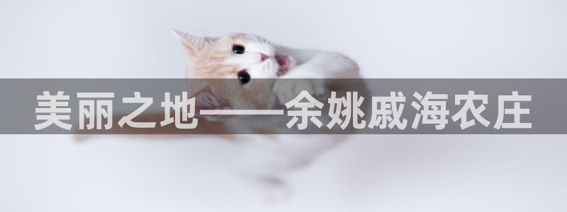 必一体育sport装机吧