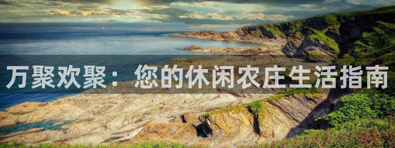 必一体育登录入口