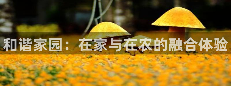 必一体育运动app