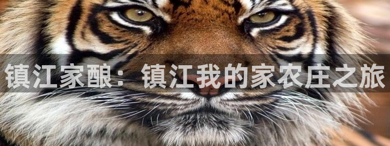 必一体育能提现大金额吗