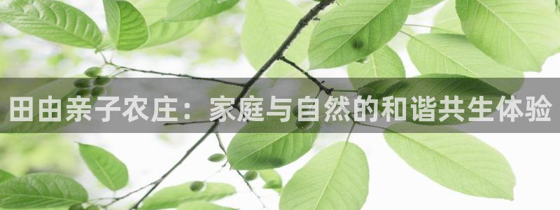 必一体育app下载最新版本苹果