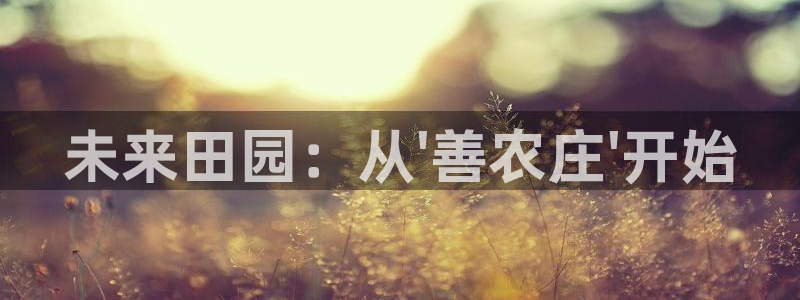 必一体育app下载装机吧