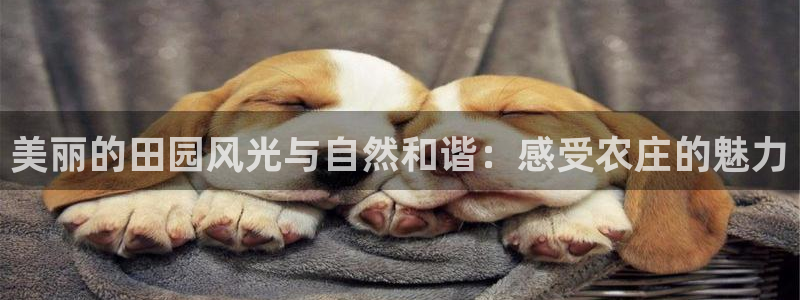 必一体育秀给网