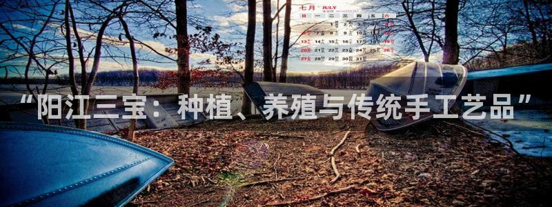 必一运动 b 体育素描版