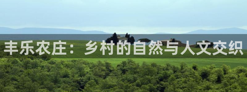 必一体育在哪下