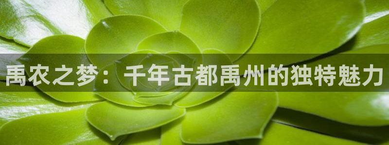 必一体育官网网址