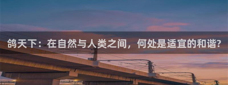 必一体育sportB体育